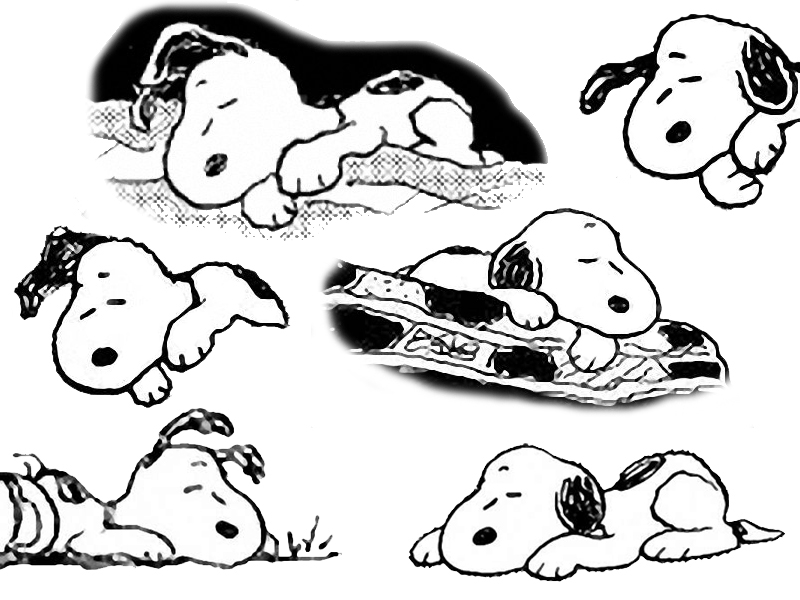 snoopy wallpaper. Snoopy#39;s wallpapers (6) |